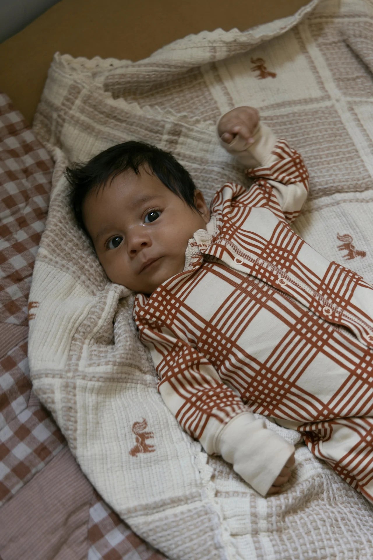 patchwork blanket - pony