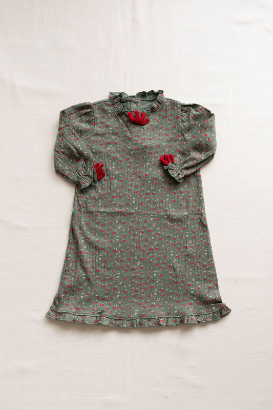 FV cozy dress | jardine